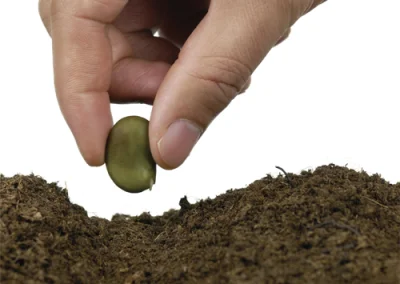 EFFICACITÉ ET DÉLÉGATION