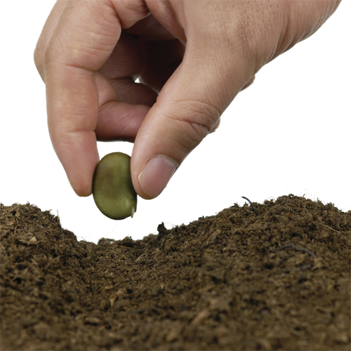 EFFICACITÉ ET DÉLÉGATION